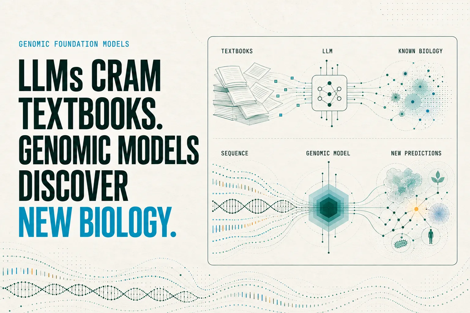 LLMs cram textbooks. Genomic models discover new biology.