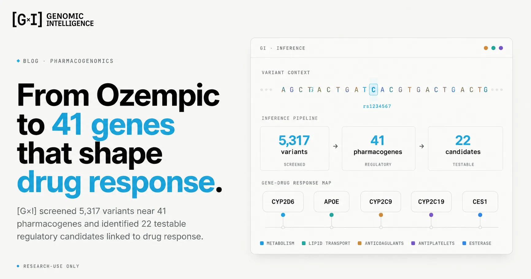 Title card reading 'From Ozempic to 41 genes that shape drug response', beside a mock [G×I] inference panel: a variant-context DNA strand with one highlighted base, an inference pipeline reading 5,317 variants screened to 41 regulatory pharmacogenes to 22 testable candidates, and a gene-drug response map listing CYP2D6, APOE, CYP2C9, CYP2C19 and CES1 keyed to metabolism, lipid transport, anticoagulants, antiplatelets and esterase. Marked research-use only.