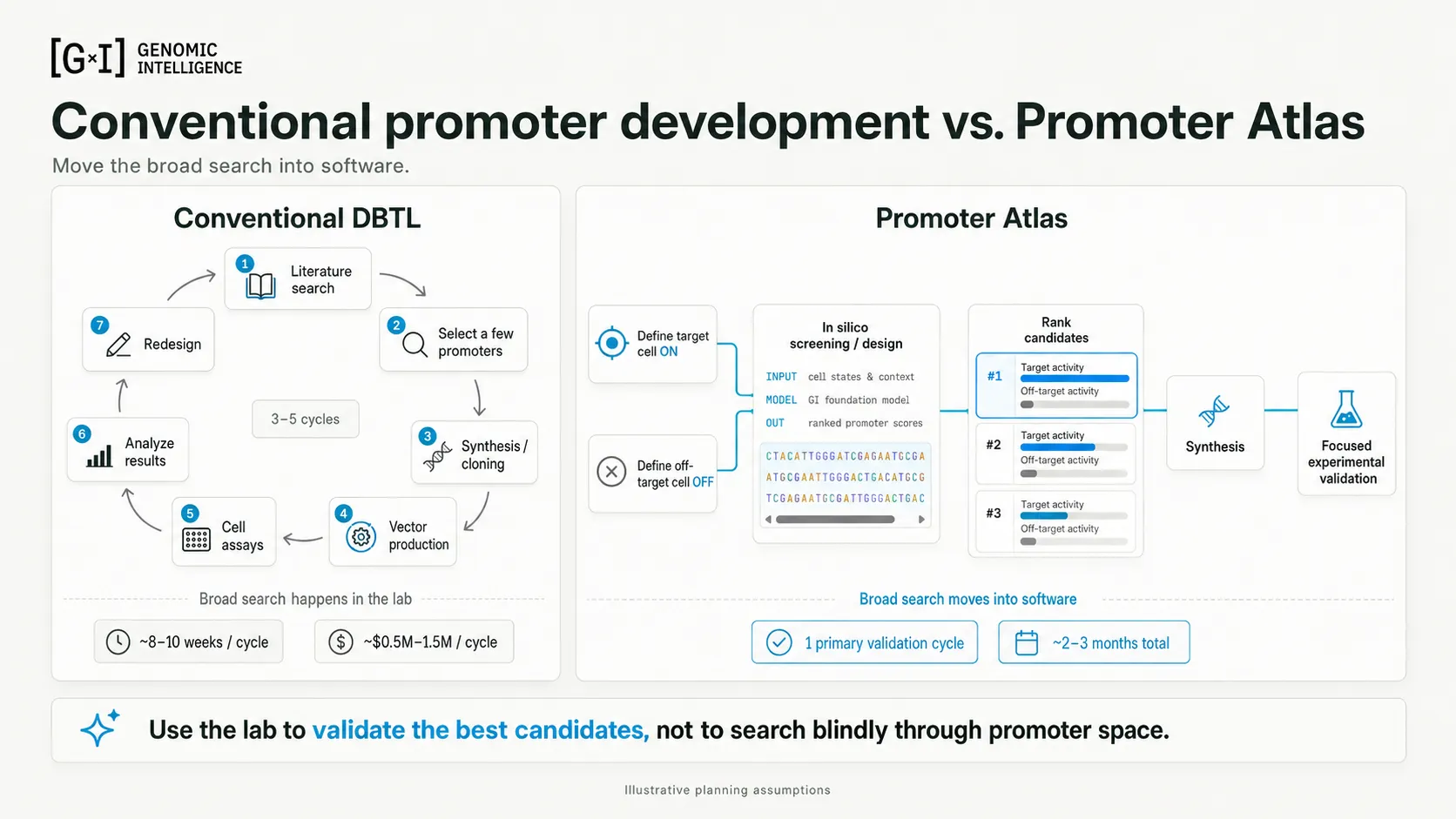 Two-panel comparison titled “Conventional promoter development vs. Promoter Atlas”. Left, conventional DBTL: a seven-step loop — literature search, select a few promoters, synthesis and cloning, vector production, cell assays, analyse results, redesign — repeated for 3–5 cycles, with the broad search happening in the lab at roughly 8–10 weeks and $0.5M–1.5M per cycle. Right, Promoter Atlas: define target cell ON and off-target cell OFF, in silico screening and design returning ranked promoter scores, then ranked candidates, synthesis, and focused experimental validation — one primary validation cycle, about 2–3 months total. Footer: use the lab to validate the best candidates, not to search blindly through promoter space. Labelled illustrative planning assumptions.