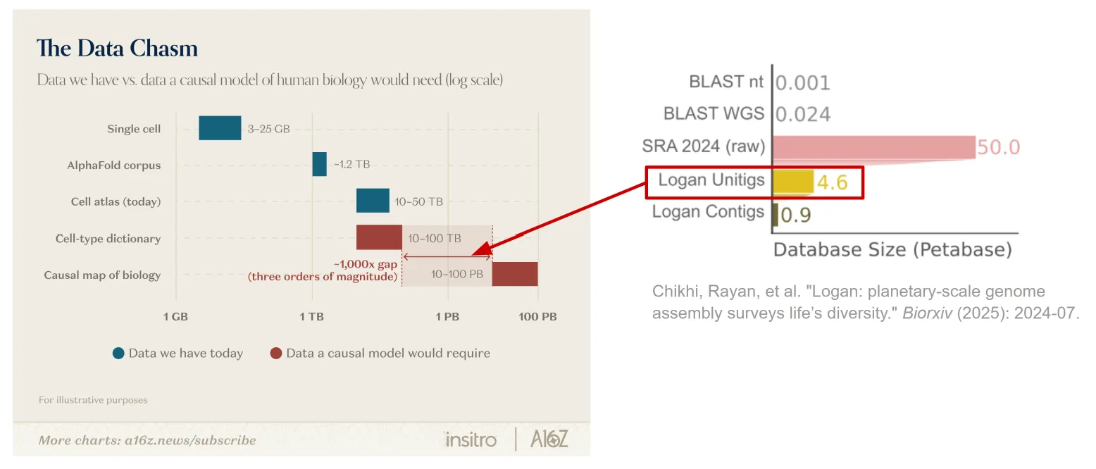 Two panels. Left, “The Data Chasm” on a log scale: single-cell 3–25 GB, the AlphaFold corpus ~1.2 TB, a cell atlas 10–50 TB, a cell-type dictionary 10–100 TB, against the 10–100 PB a causal map of biology would require — a gap of about three orders of magnitude. Right, database size in petabases: BLAST nt 0.001, BLAST WGS 0.024, raw SRA 2024 50.0, Logan unitigs 4.6, Logan contigs 0.9.
