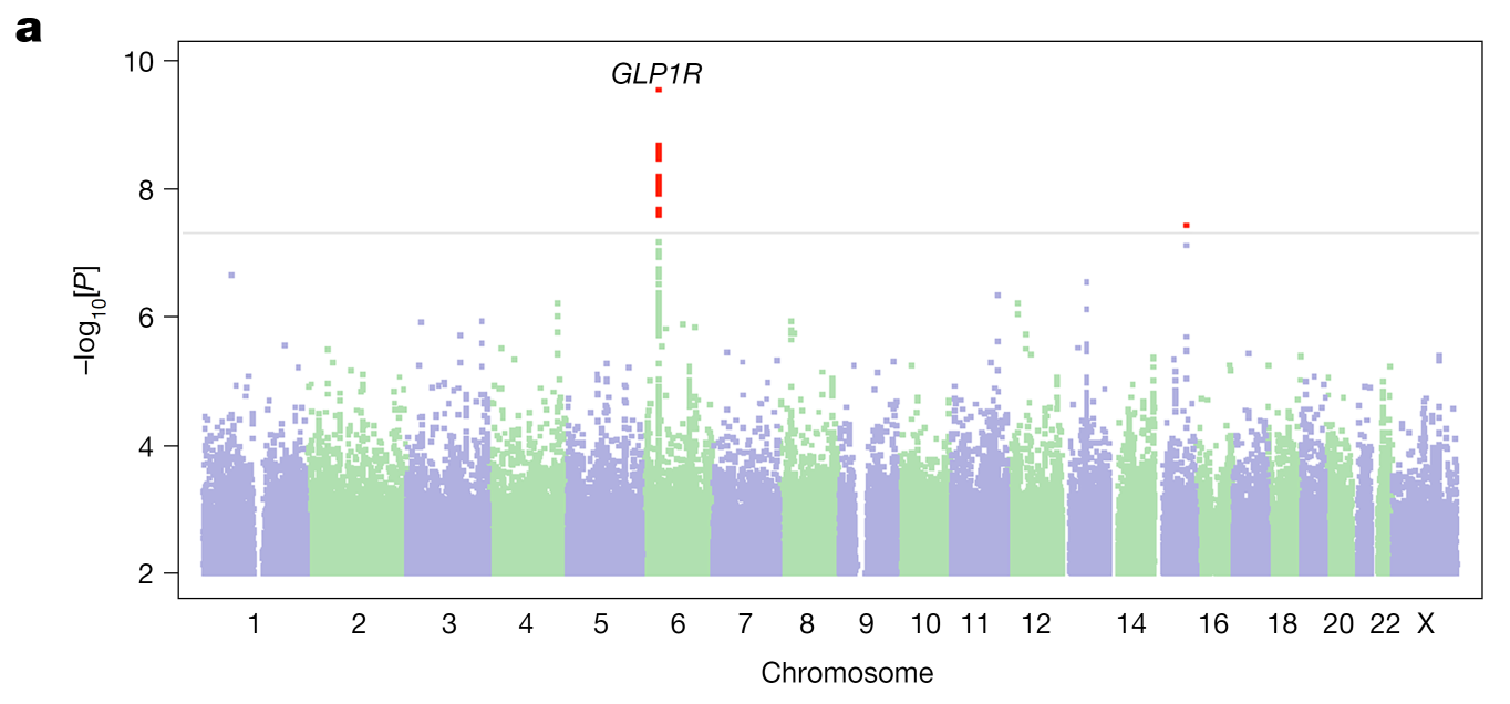 Figure 1a from Su et al. in Nature showing genetic associations with GLP1 medication efficacy: panel a.