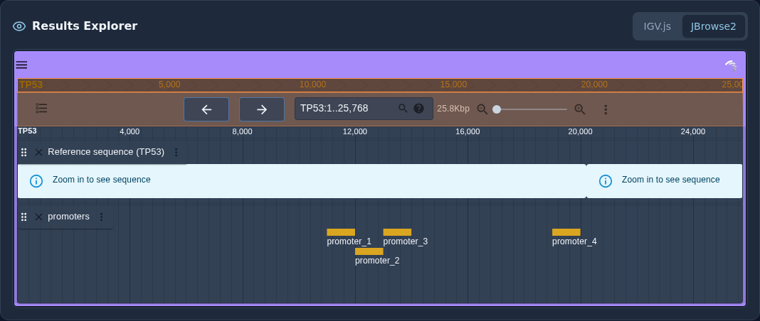 Results Explorer showing the TP53 locus in a JBrowse2 genome browser, with a promoters track marking four predicted promoter regions along the 25.8 kb sequence.