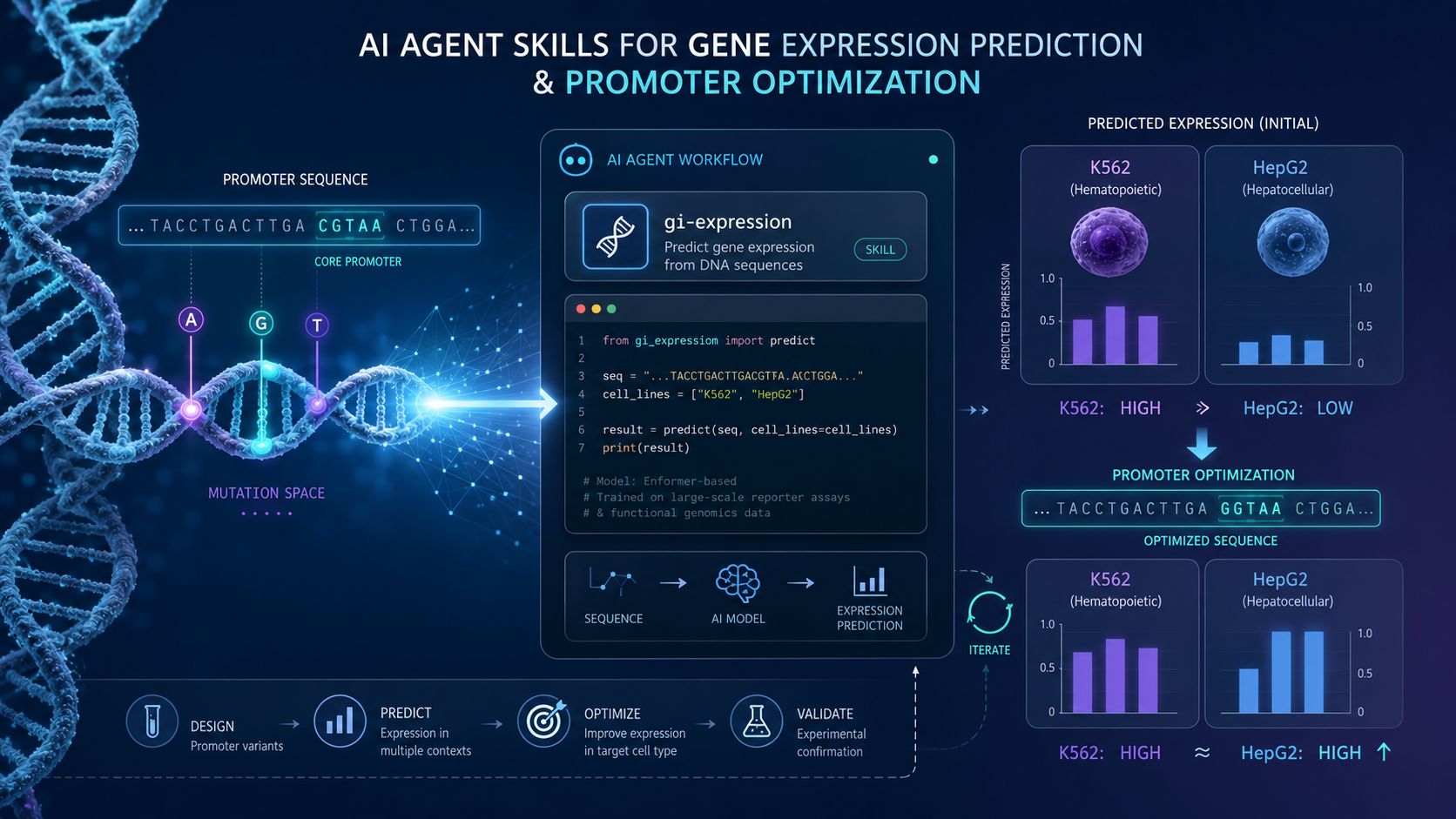 Branded infographic titled 'AI Agent Skills for Gene Expression Prediction & Promoter Optimization'. It depicts an illustrative Python snippet (from gi_expression import predict), a design → predict → optimize → validate loop, and before/after bar charts showing a K562-high / HepG2-low promoter being optimized into a HepG2-high promoter.