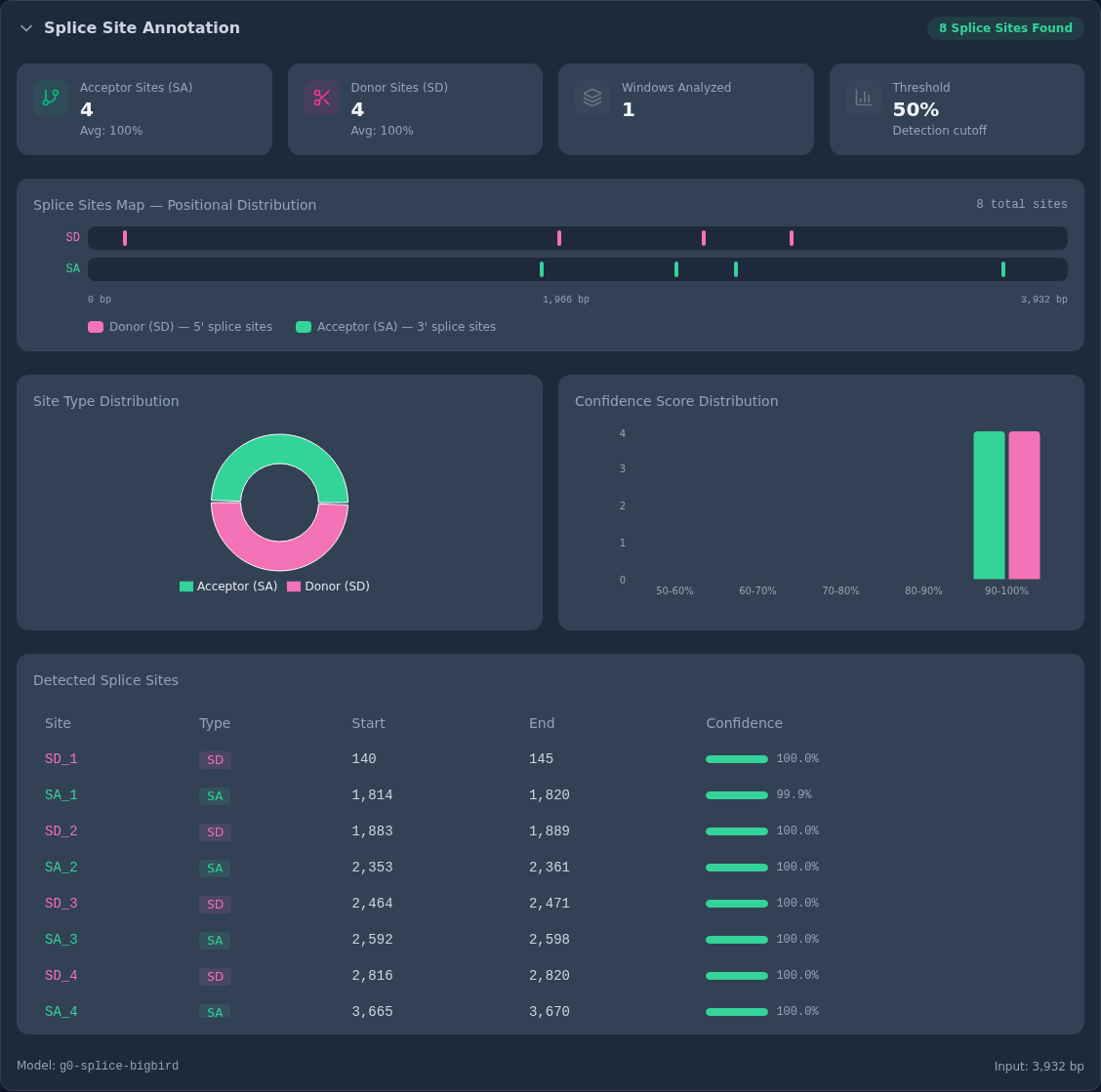 Splice Site Annotation dashboard for the HBB example: a header reading 8 Splice Sites Found; summary cards for acceptor sites (4, average 100%), donor sites (4, average 100%), windows analyzed (1), and the 50% detection threshold; a positional distribution map plotting donor (SD) and acceptor (SA) sites along the 3,932 bp region; a site-type donut and a confidence-score histogram; and a Detected Splice Sites table listing each site's type, start, end, and confidence.